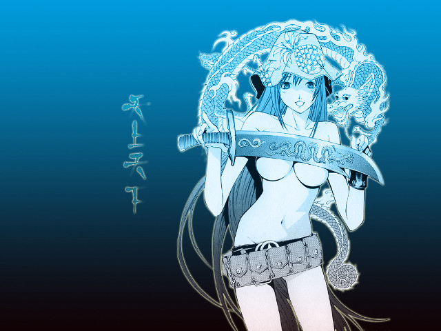 Woman sword dragon banner anime free wallpaper for desktop - medium preview image