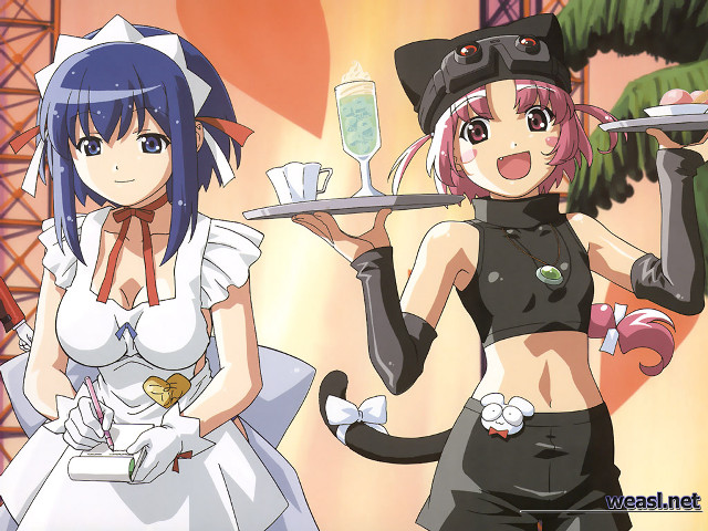 Anime maid catgirls food tray free wallpaper for desktop - medium preview image