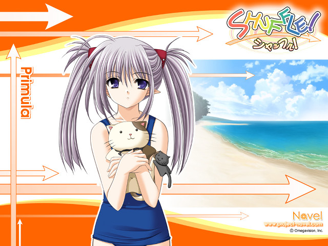Girl cat beach ocean sunset free wallpaper for desktop - medium preview image