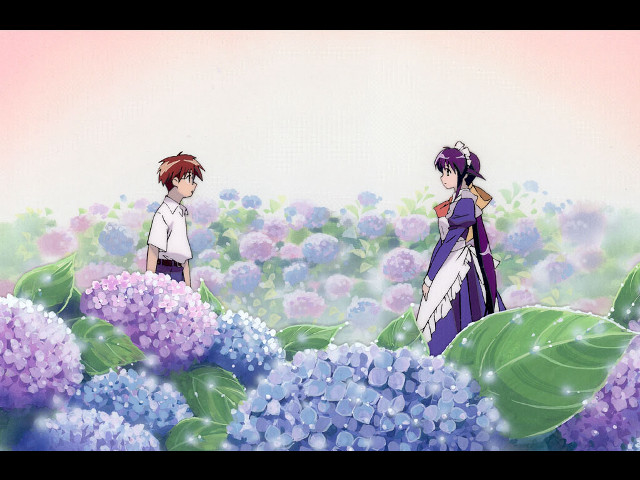 Flower field purple sky kyoto free wallpaper for desktop - medium preview image