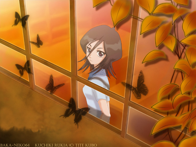Girl butterflies window autumn yellow free wallpaper for desktop - medium preview image