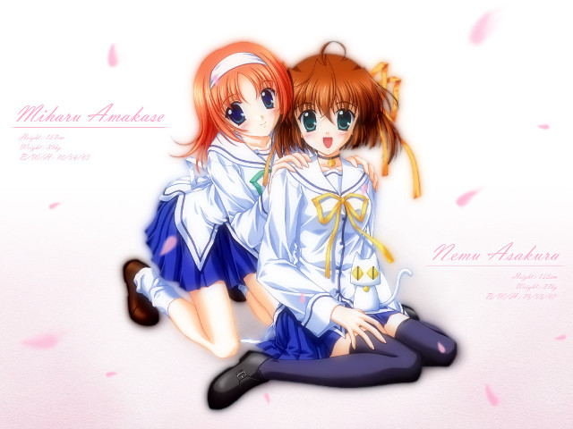 Anime girls cherry blossoms school #4 free wallpaper for desktop - medium preview image