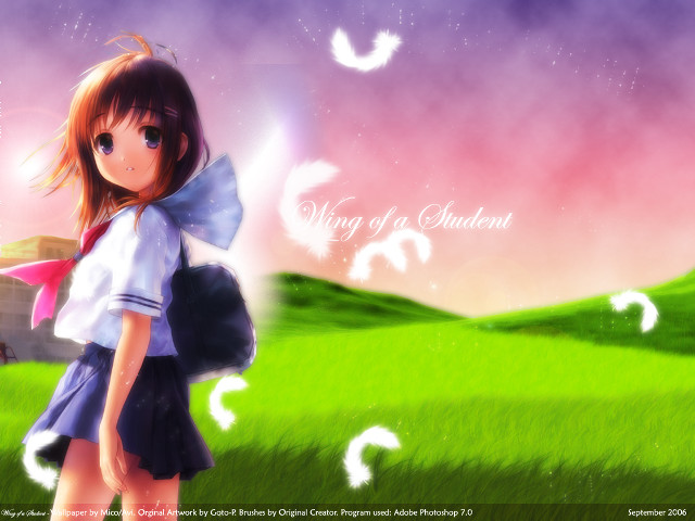 Girl backpack field birds purple free wallpaper for desktop - medium preview image