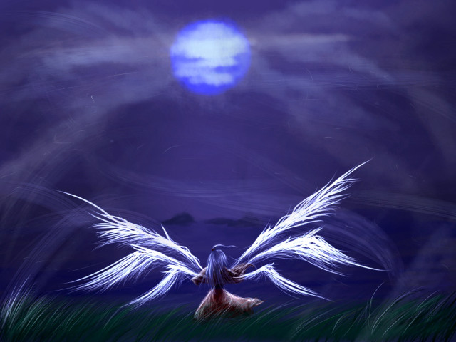 Bird fullmoon night sky wings free wallpaper for desktop - medium preview image