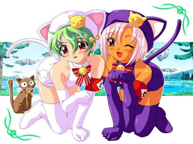 Anime characters cat furry manga free wallpaper for desktop - medium preview image
