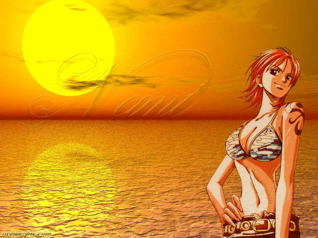 Beach sunset woman bikini camera free wallpaper for desktop - medium preview image