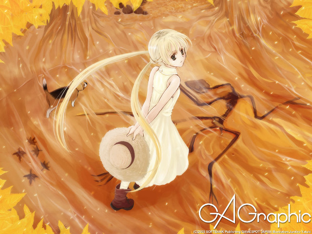 Girl white dress hat bird #2 free wallpaper for desktop - medium preview image