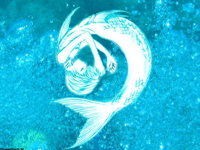 Fish long tail water bubbles free wallpaper for desktop - medium preview image