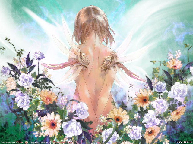 Woman flower butterflies bird tattoo free wallpaper for desktop - medium preview image