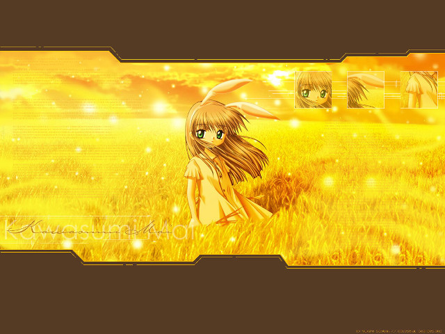 Girl bunny forest yellow sunset free wallpaper for desktop - medium preview image