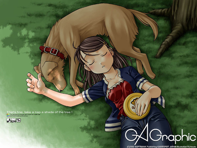 Girl dog hug forest grass free wallpaper for desktop - medium preview image