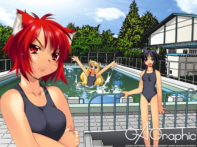 Cartoon women pool cat ears free wallpaper for desktop - medium preview image