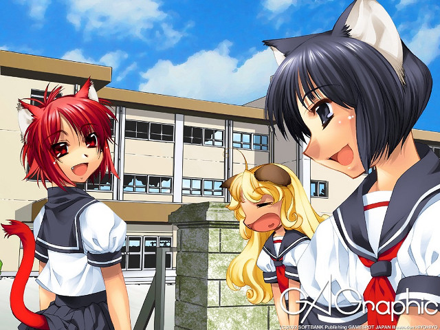 Anime characters outside building cat free wallpaper for desktop - medium preview image