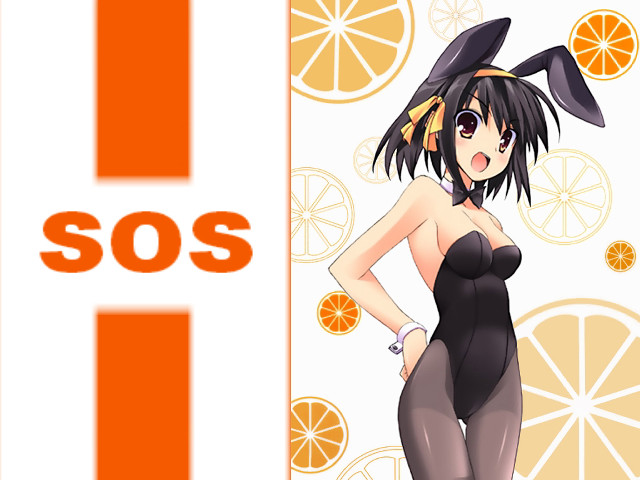 Woman orange slices hat lemon free wallpaper for desktop - medium preview image