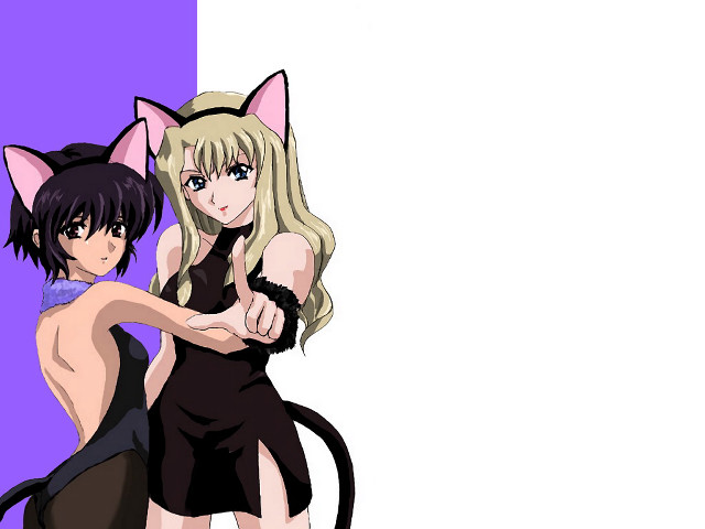 Anime girls cat ears finger free wallpaper for desktop - medium preview image
