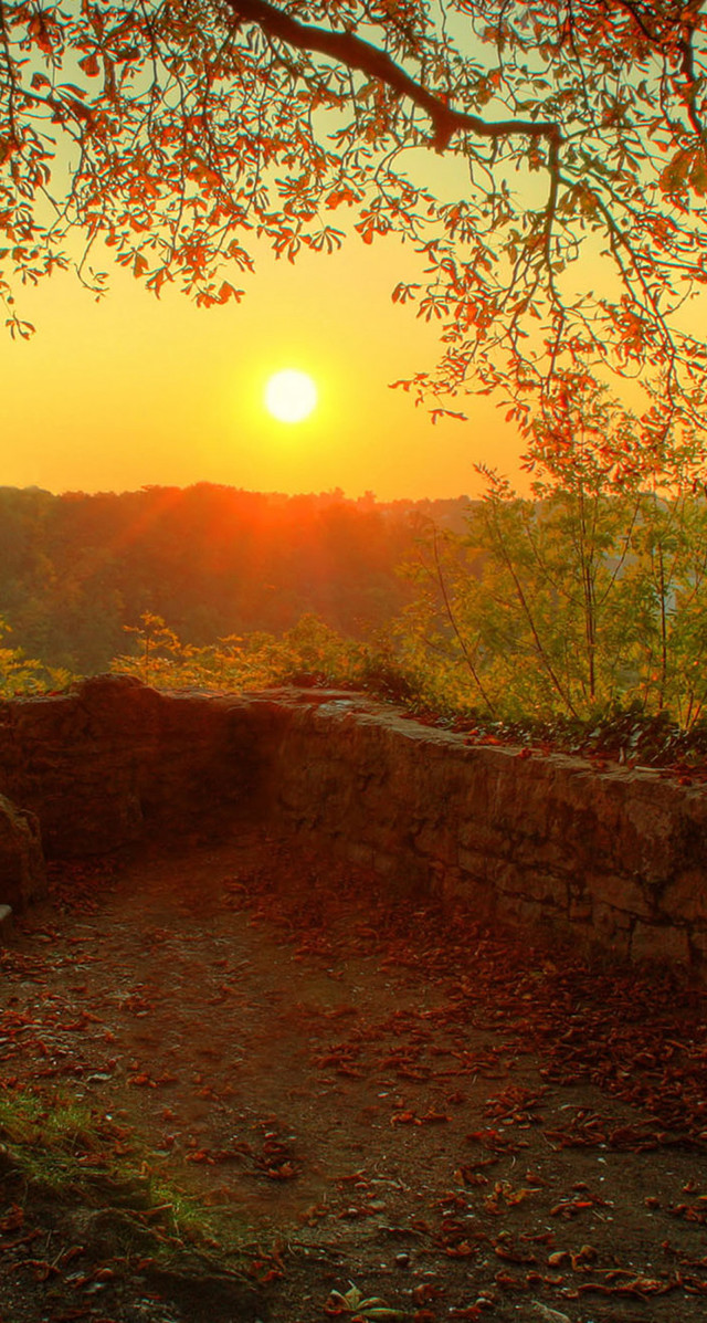Bench dirt field tree sunset free wallpaper for mobile - medium preview image