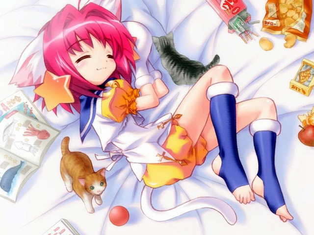 Girl cat sleeping bed anime free wallpaper for desktop - medium preview image