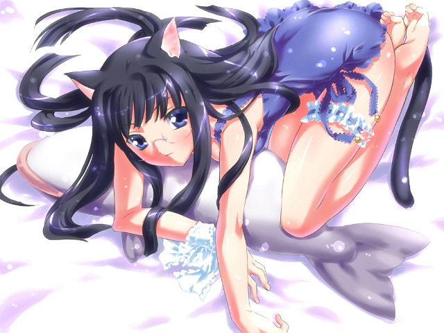 Alice cat tails anime furry free wallpaper for desktop - medium preview image