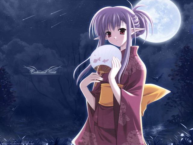 Kimono fan fullmoon night sky free wallpaper for desktop - medium preview image