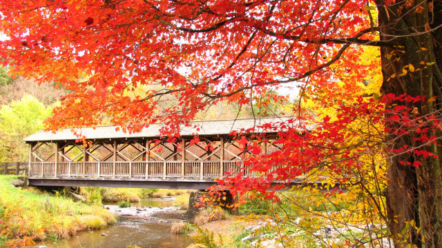 Covered bridge fall leaves forest free wallpaper for desktop - medium preview image