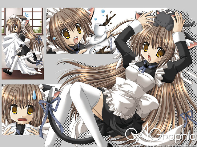 Girl cat maid anime brown free wallpaper for desktop - medium preview image