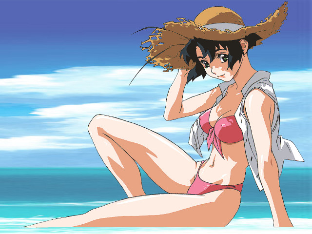 Beach woman bikini hat sitting free wallpaper for desktop - medium preview image