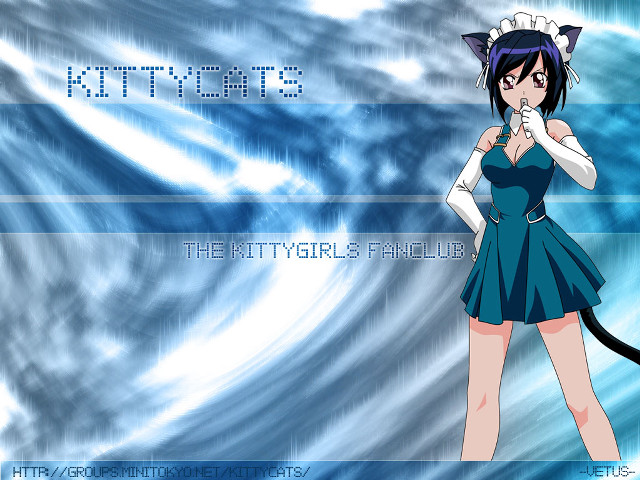 Girl blue dress cat ears free wallpaper for desktop - medium preview image