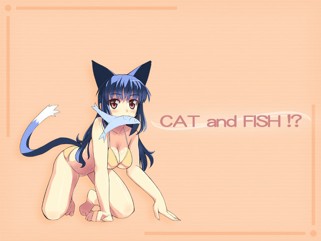 Cat fish furry album cover free wallpaper for desktop - medium preview image