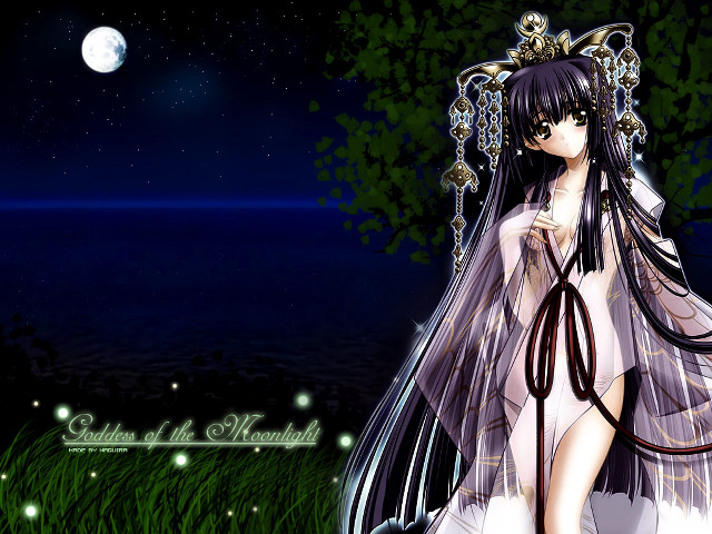 Moon galaxy fireworks veil grass free wallpaper for desktop - medium preview image