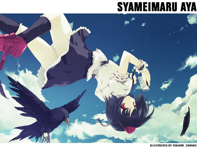 Flying birds cloudy sky gothic free wallpaper for desktop - medium preview image