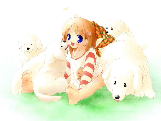 Girl polarbears dog blush blueeyes free wallpaper for desktop - medium preview image