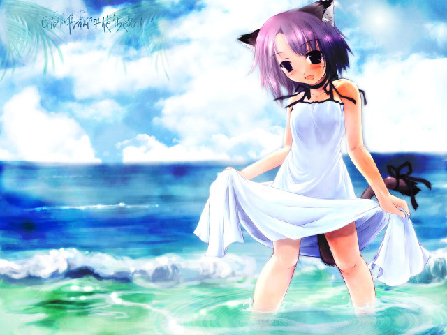 White dress ocean cat head free wallpaper for desktop - medium preview image