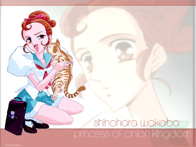 Woman cat suitcase cartoon remodernism free wallpaper for desktop - medium preview image