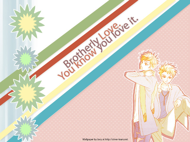 Couple pink background banner flowers free wallpaper for desktop - medium preview image