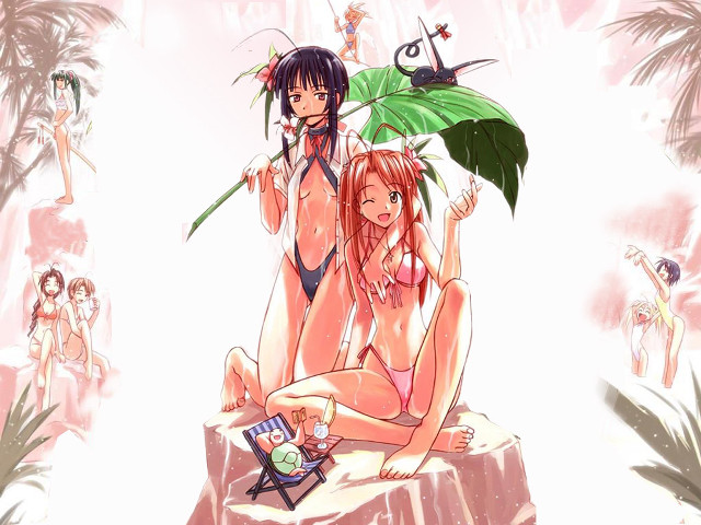 Two women bikinis rock plant free wallpaper for desktop - medium preview image