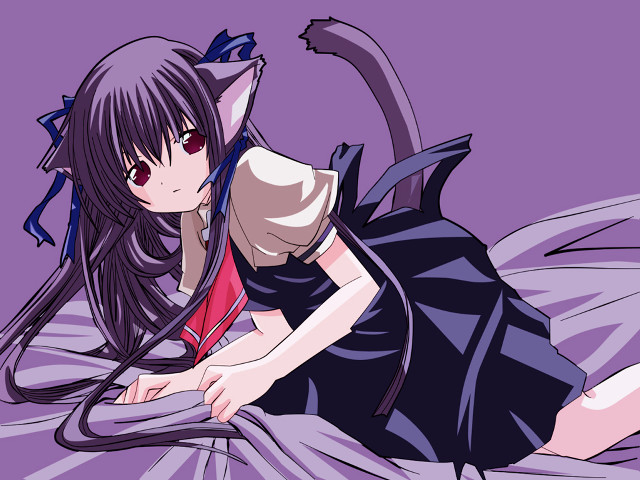 Girl cat ears bed anime free wallpaper for desktop - medium preview image