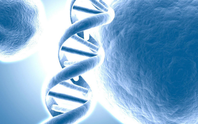 Blue background double strand spirals free wallpaper for desktop - medium preview image