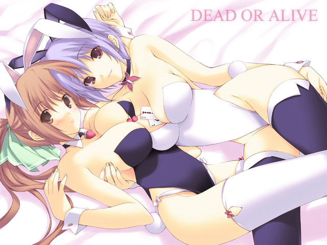 Dead or alive anime furry free wallpaper for desktop - medium preview image