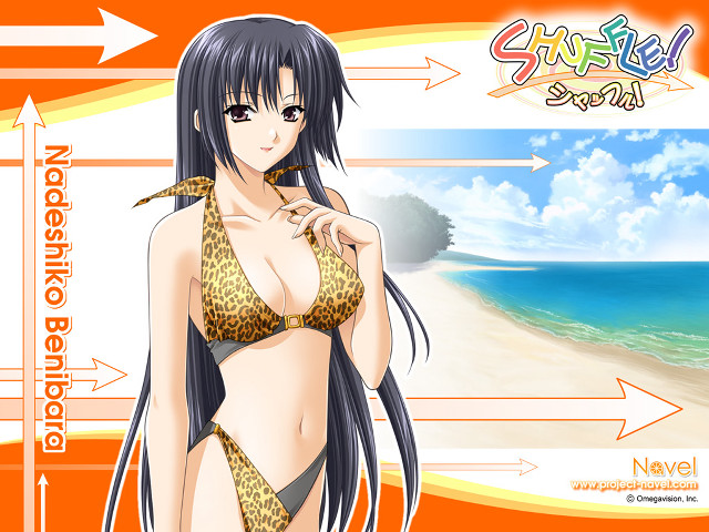 Beach sunset woman bikini ocean free wallpaper for desktop - medium preview image
