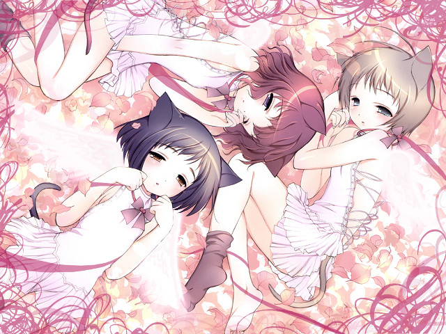 Three anime girls cat hearts free wallpaper for desktop - medium preview image