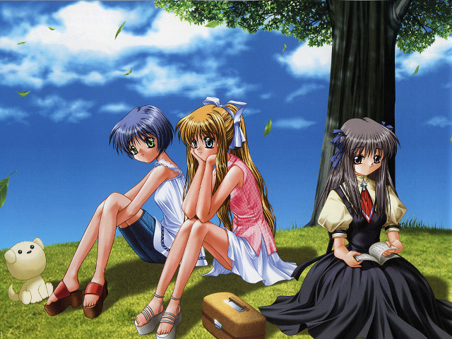 Anime girls sitting grass suitcase free wallpaper for desktop - medium preview image