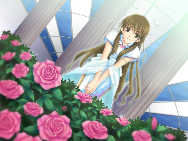 Girl ledge roses building blue free wallpaper for desktop - medium preview image