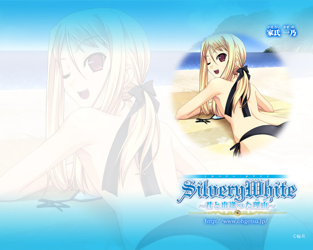 Beach woman bikini summer smile free wallpaper for desktop - medium preview image