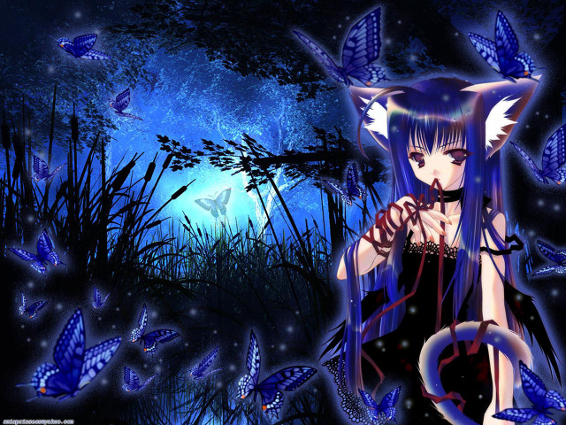 Blue hair cat costume butterflies free wallpaper for desktop - medium preview image