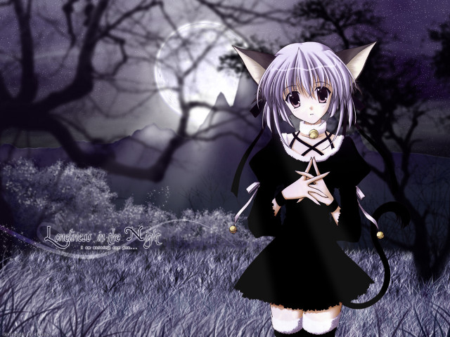 Anime girl black dress cat #2 free wallpaper for desktop - medium preview image