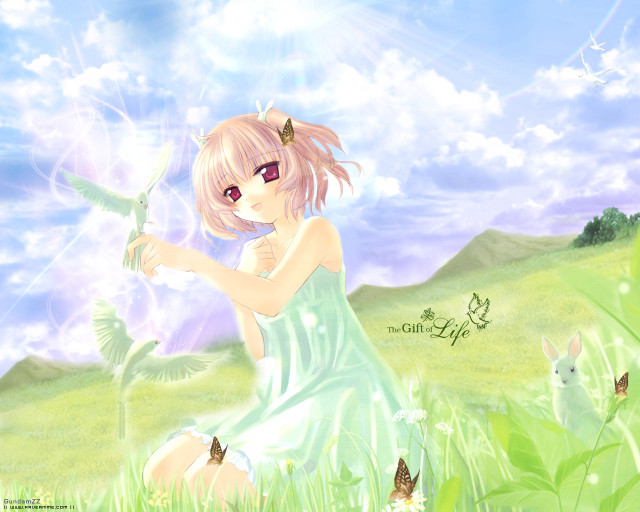 Girl green dress bird field free wallpaper for desktop - medium preview image