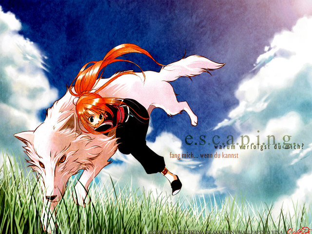 Girl wolf grass sky orange free wallpaper for desktop - medium preview image