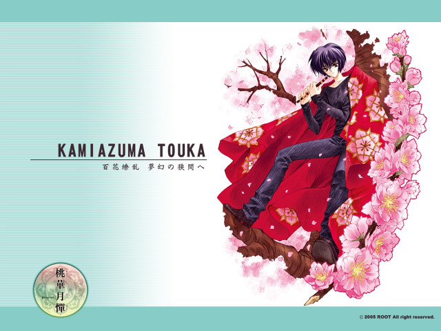 Kanzazuma touka sakura dango floral free wallpaper for desktop - medium preview image