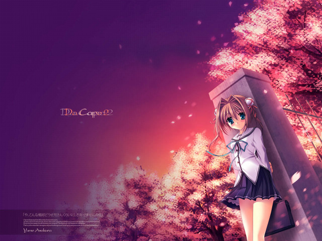 Anime girl cherry blossoms pink free wallpaper for desktop - medium preview image