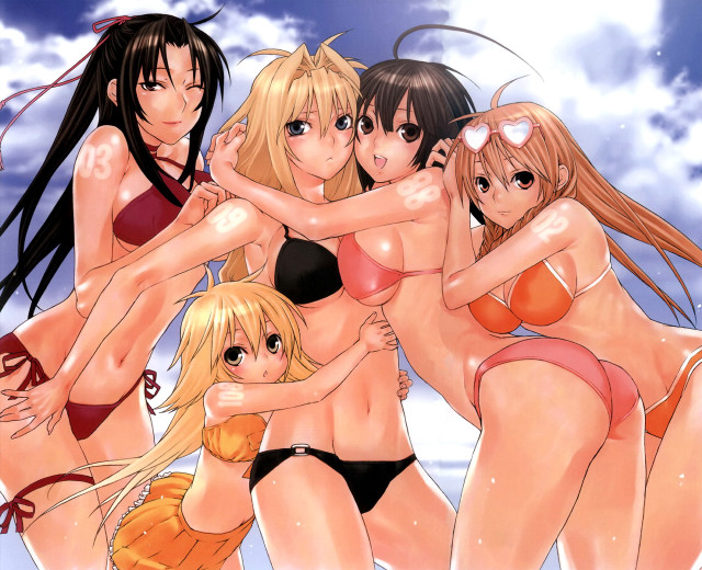 Snowy beach girls bikinis manga free wallpaper for desktop - medium preview image
